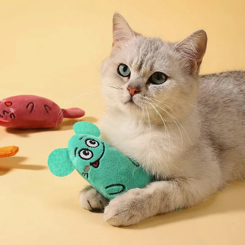 🎁 La petite surprise Catsby