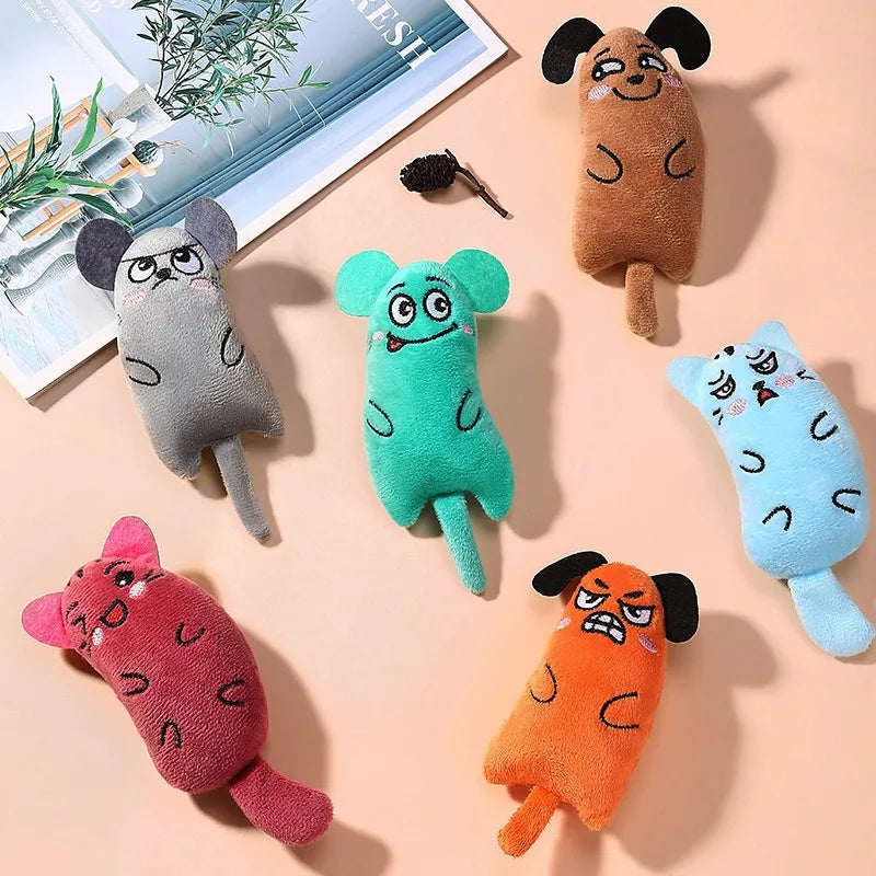 🎁 La petite surprise Catsby