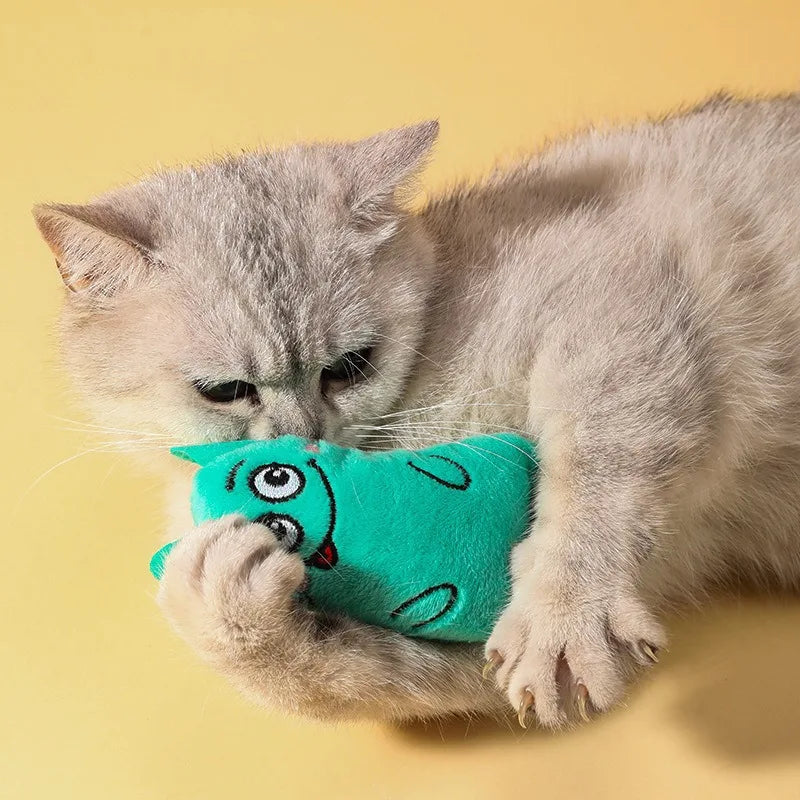 🎁 La petite surprise Catsby