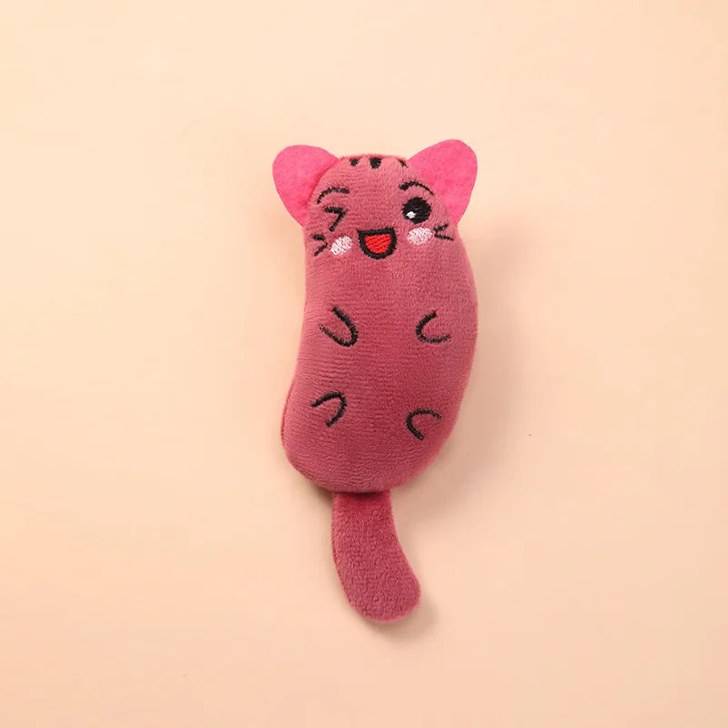 🎁 La petite surprise Catsby